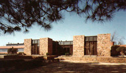 Dyna-Mix Tyler Plant